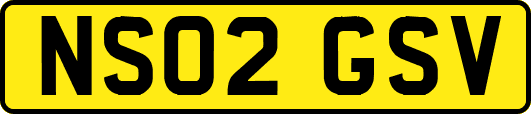 NS02GSV