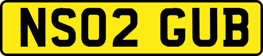 NS02GUB