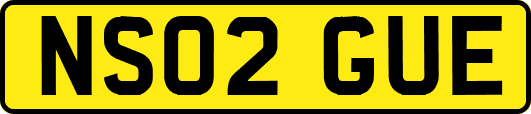 NS02GUE
