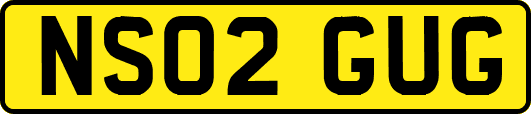 NS02GUG