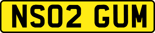 NS02GUM