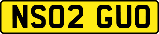 NS02GUO