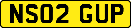 NS02GUP