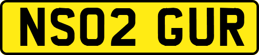 NS02GUR