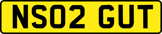 NS02GUT