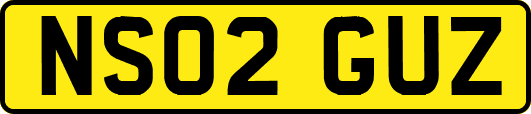 NS02GUZ