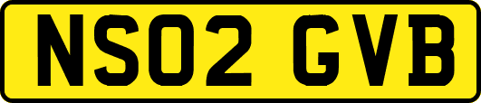 NS02GVB
