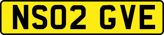 NS02GVE
