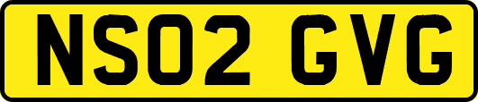 NS02GVG