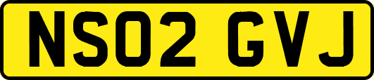 NS02GVJ