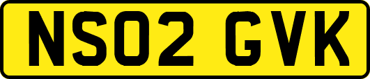 NS02GVK