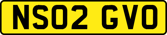 NS02GVO