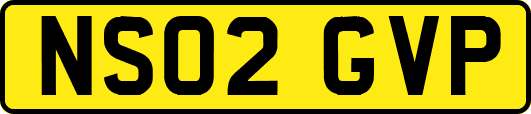 NS02GVP