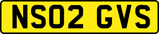 NS02GVS