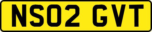 NS02GVT