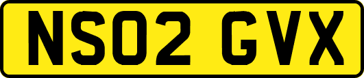 NS02GVX