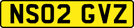 NS02GVZ