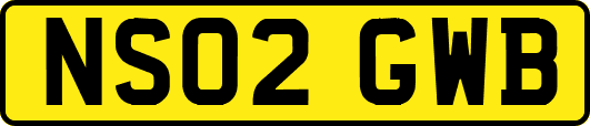 NS02GWB