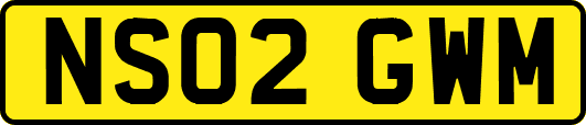 NS02GWM