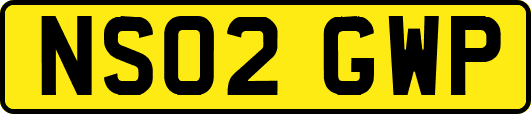 NS02GWP