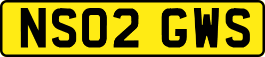 NS02GWS