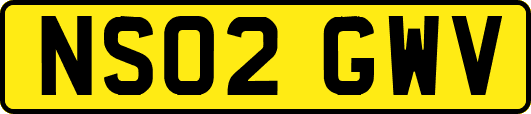 NS02GWV