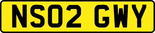 NS02GWY