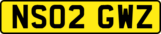NS02GWZ