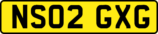NS02GXG