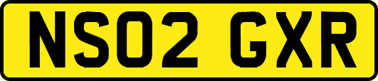 NS02GXR