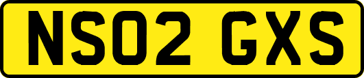 NS02GXS