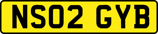 NS02GYB