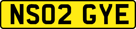 NS02GYE