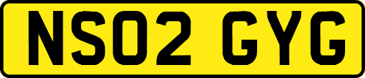 NS02GYG