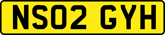 NS02GYH