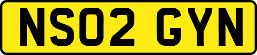 NS02GYN