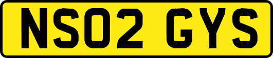NS02GYS