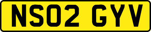 NS02GYV
