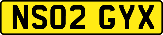 NS02GYX