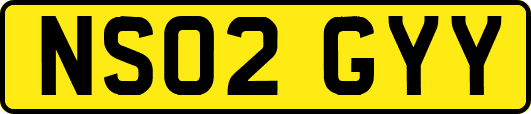 NS02GYY