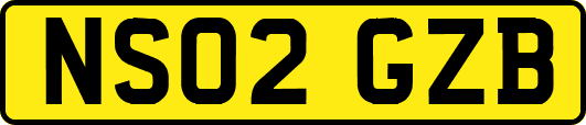 NS02GZB