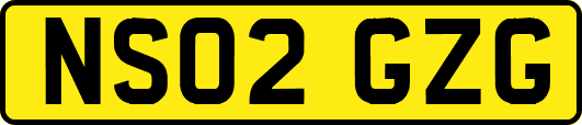 NS02GZG