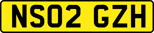 NS02GZH