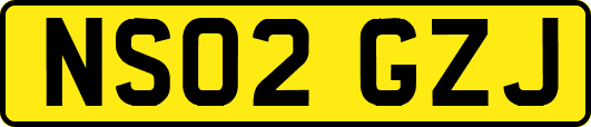NS02GZJ