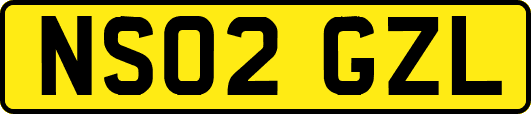 NS02GZL