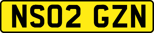 NS02GZN