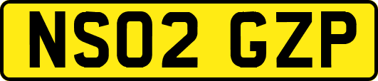 NS02GZP