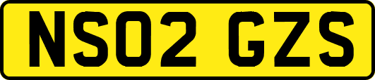 NS02GZS