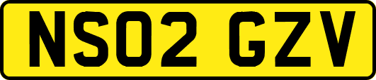 NS02GZV