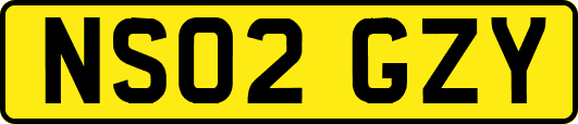 NS02GZY